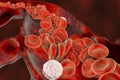 Red blood cells and leukocytes moving along blood vessel Royalty Free Stock Photo