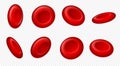 Red blood cells. Microbiological medical erythrocytes, microscopic elements isolated on transparent. Healthcare concept