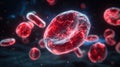 Red blood cells in motion demonstrating cellular activity and structure in a microscopic view Royalty Free Stock Photo