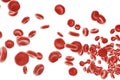 Red blood cells: responsible for oxygen carrying over, regulation pH blood, a food and protection of cages of an