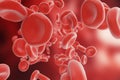 Red blood cells: responsible for oxygen carrying over, regulation pH blood, a food and protection of cages of an