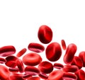 Red blood cells Use as a medical illustration is a 3D image and the word is written. Royalty Free Stock Photo