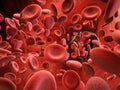 Red blood cells in vein Royalty Free Stock Photo
