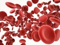 Red blood cells in vein Royalty Free Stock Photo