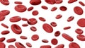 Red blood cells in vena. Erythrocytes isolated on white background. Science 3d illustration