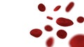 Red blood cells on white background. Medical and Health Royalty Free Stock Photo