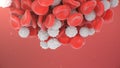 Red blood cells with white blood cells that is immune. Scientific and medical microbiological concept. Enrichment with Royalty Free Stock Photo