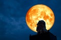 red blood moon back silhouette lion status night sky Royalty Free Stock Photo