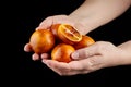 Red or blood orange fruits in hands on black background