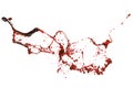 Red blood splash on white background