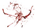 Red blood splash on white background Royalty Free Stock Photo