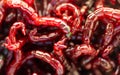 Red bloodworm worms as a background Royalty Free Stock Photo