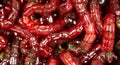 Red bloodworm worms as a background Royalty Free Stock Photo