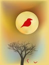 Red bloody bird on a tree on brown sunset