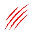 Red bloody claws animal scratch scrape track. Cat tiger scratches paw. Four nails trace. Funny design element. Flat design. White