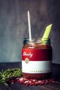 Red Bloody Mary Cocktail with celery Royalty Free Stock Photo