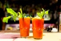 Couple of intense red bloody mary cocktails on inside bar on glasses with fresh green celeries, symbol of nightlife Royalty Free Stock Photo