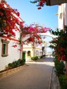 Red blooming flowers on the arches in the streets of Puerto Mogan in Gran Canaria, Spain Royalty Free Stock Photo