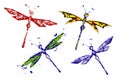 Red blue black green yellow paint made dragonfly set Royalty Free Stock Photo