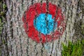 Red and blue blaze on tree