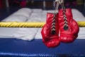 Red & Blue boxing gloves Royalty Free Stock Photo