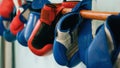 Red and blue boxing gloves hanging on a wooden stick Royalty Free Stock Photo