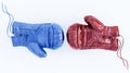 red and blue boxing gloves isolated on a white background. Royalty Free Stock Photo
