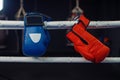 Red and blue boxing gloves on a ropes, nobody Royalty Free Stock Photo