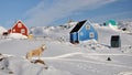 Red and blue cabins and dog in winter, Greenland