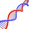 Red and Blue DNA Helix on White Diagonal Royalty Free Stock Photo