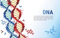 Red and blue DNA sequences background template for presentation, poster, web. Color vector illustration