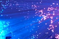 Red And Blue Fiber Optics Closeup Royalty Free Stock Photo