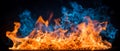 red and blue fire on a black background, burning and hot flames, close view Royalty Free Stock Photo