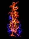 Red and blue fire flames on black background Royalty Free Stock Photo
