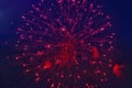 Red and blue firework bomb in the sky Royalty Free Stock Photo