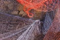 Red and blue fishing nets hanging on a wall Royalty Free Stock Photo