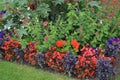 Red and Blue Flowers in Luxembourg Garden