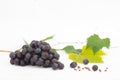 Red or blue grapes with leaves isolated on white background Royalty Free Stock Photo