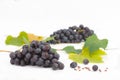 Red or blue grapes with leaves  on white background Royalty Free Stock Photo