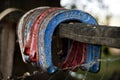 Red and blue horse shoes hanging off a fence post