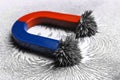 Red and blue horseshoe magnet with iron filings Royalty Free Stock Photo