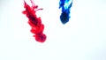 Red and blue ink in water.Creative slow motion. On a white background. Abstract background. Royalty Free Stock Photo