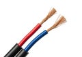 Red and blue insulated copper wires Royalty Free Stock Photo