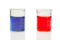 Red and blue liquid in beakers Royalty Free Stock Photo