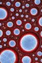 Red and Blue Organic Cellular Pattern with Biomorphic Design