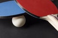 Red and Blue Ping Pong Paddles - Closeup On Black Royalty Free Stock Photo