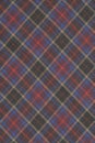 Red and Blue Plaid Royalty Free Stock Photo