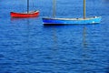 Red and Blue Sailboats Floating in Ocean Water Lake Boat