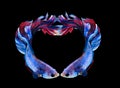 Red and blue siamese fighting fish,Heart symbol betta fish isolated on black background. Royalty Free Stock Photo