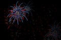 Red Blue and white bright beautiful  firework  on black background. Color of  USA flag which are a concept of 4th of July. Royalty Free Stock Photo